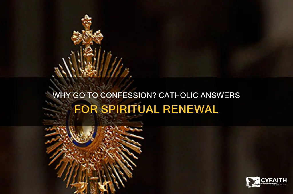 why go to confession catholic answers