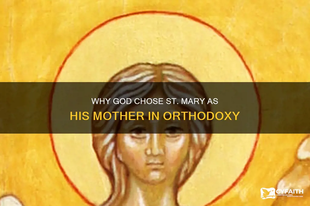 why god chose st mary to be his mother orthodox