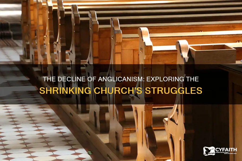 why has anglican church diminished