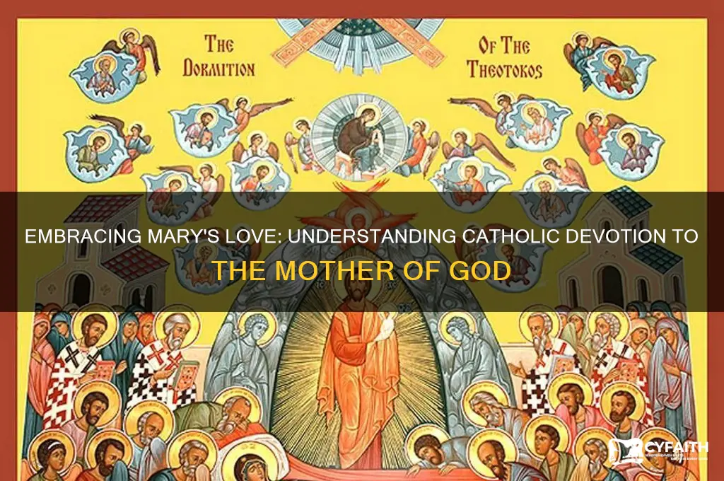 why have a devotion to mary catholic