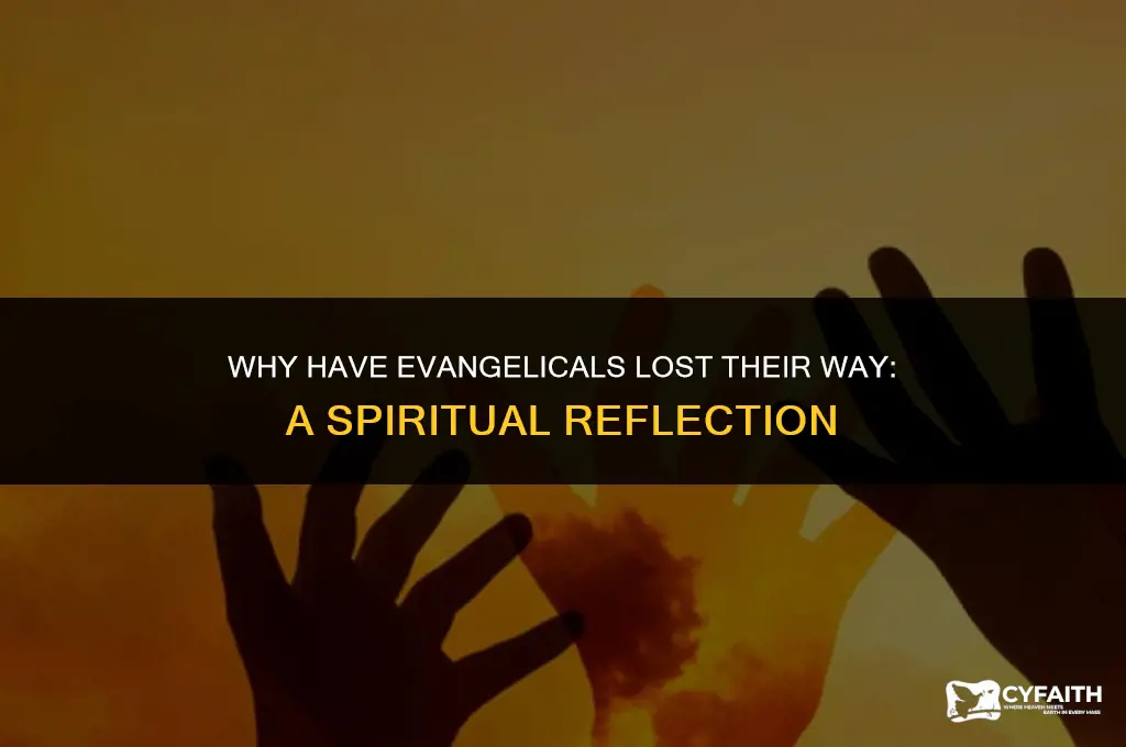 why have evangelicals lost their way
