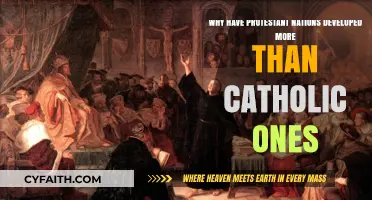 Exploring the Development Disparity: Protestant vs Catholic Nations