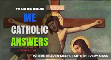Why Have Thou Forsaken Me? Catholic Insights and Answers