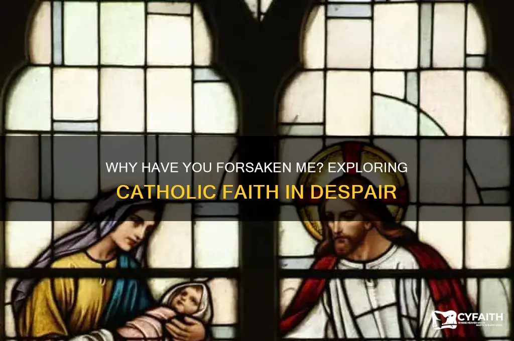 why have you forsaken me catholic