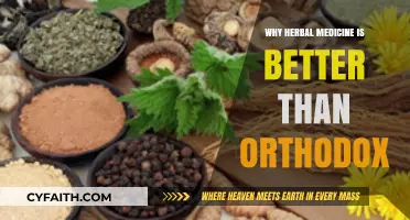 Herbal Medicine: Natural Healing Advantages Over Orthodox Treatments