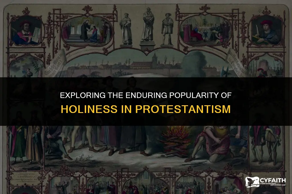 why holiness protestant best seller