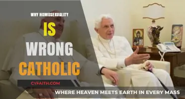 Catholic Teachings on Homosexuality: Understanding the Church's Moral Stance