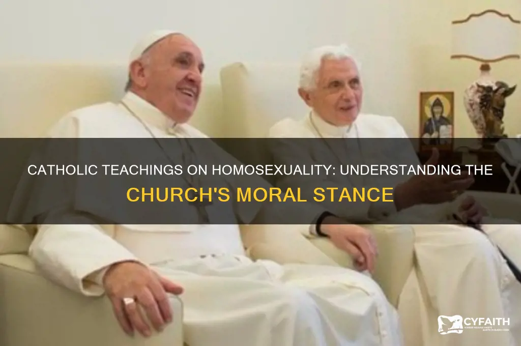 why homosexuality is wrong catholic