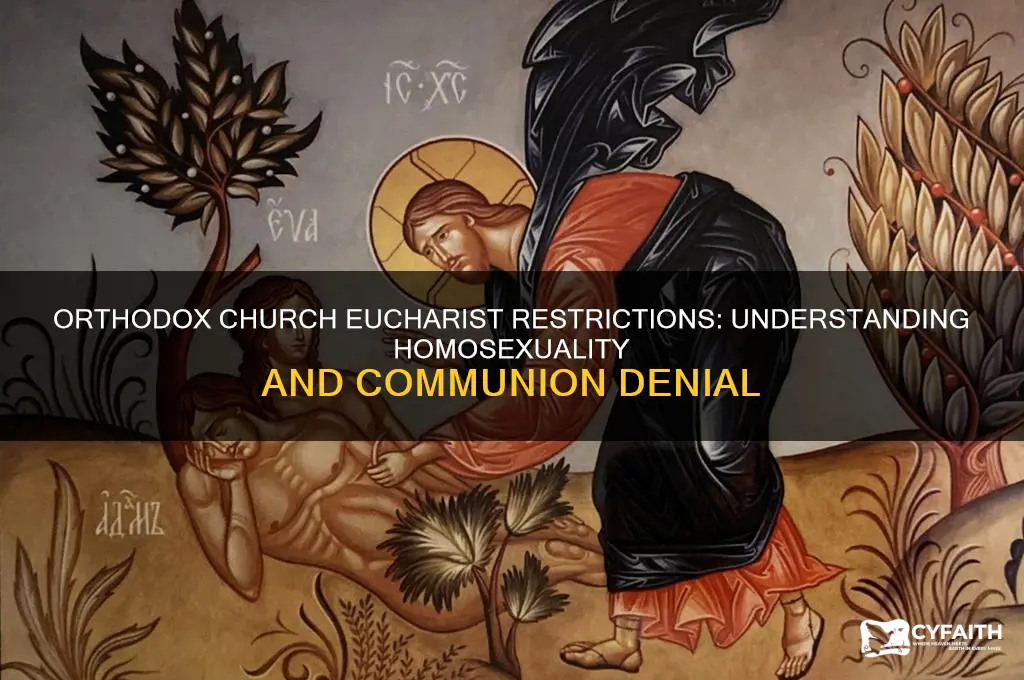why homosexuals cannot take eucharist in the orthodox church
