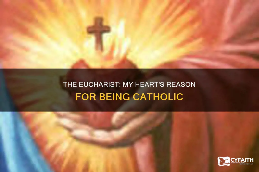 why i am a catholic the eucharist