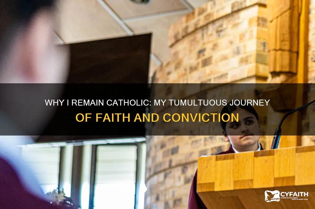 why i am a catholic tumulty