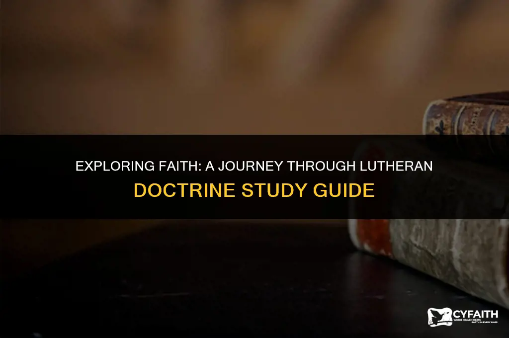 why i am a lutheran study guide