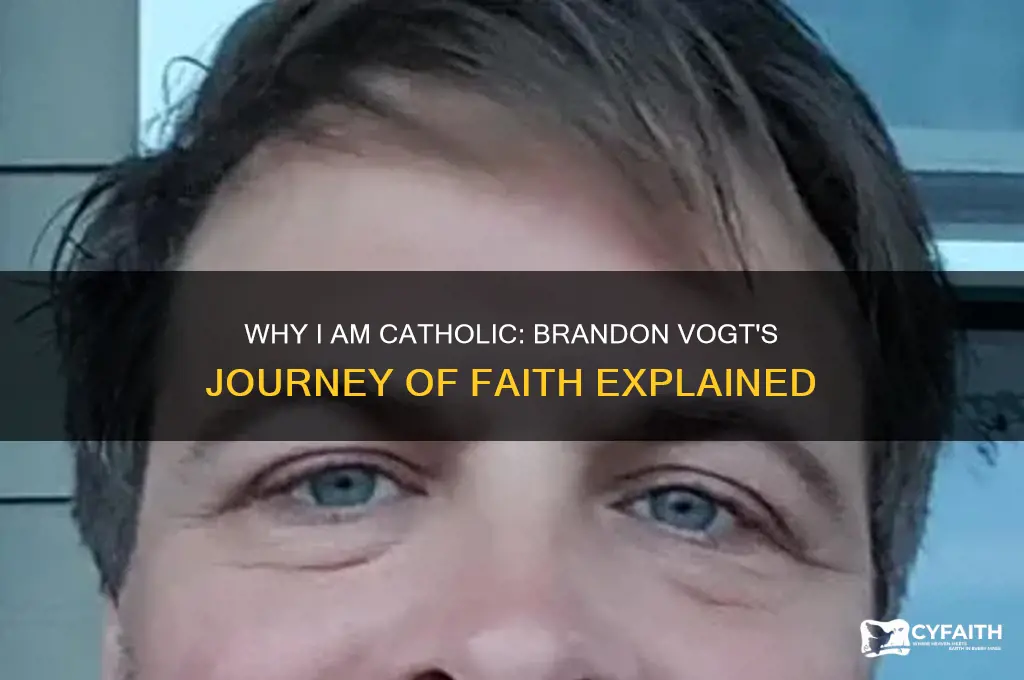 why i am catholic brandon vogt
