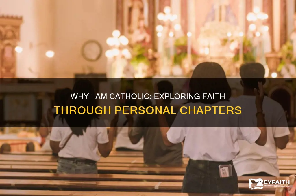 why i am catholic chapters