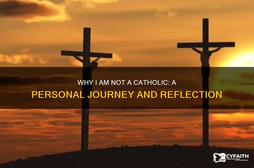 why i am not a catholic book
