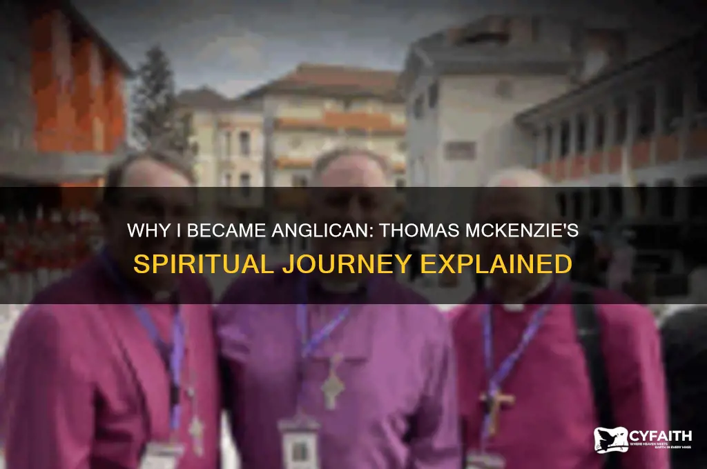 why i became anglican thomas mckenzie