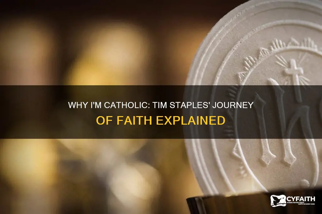 why i catholic by tim staples