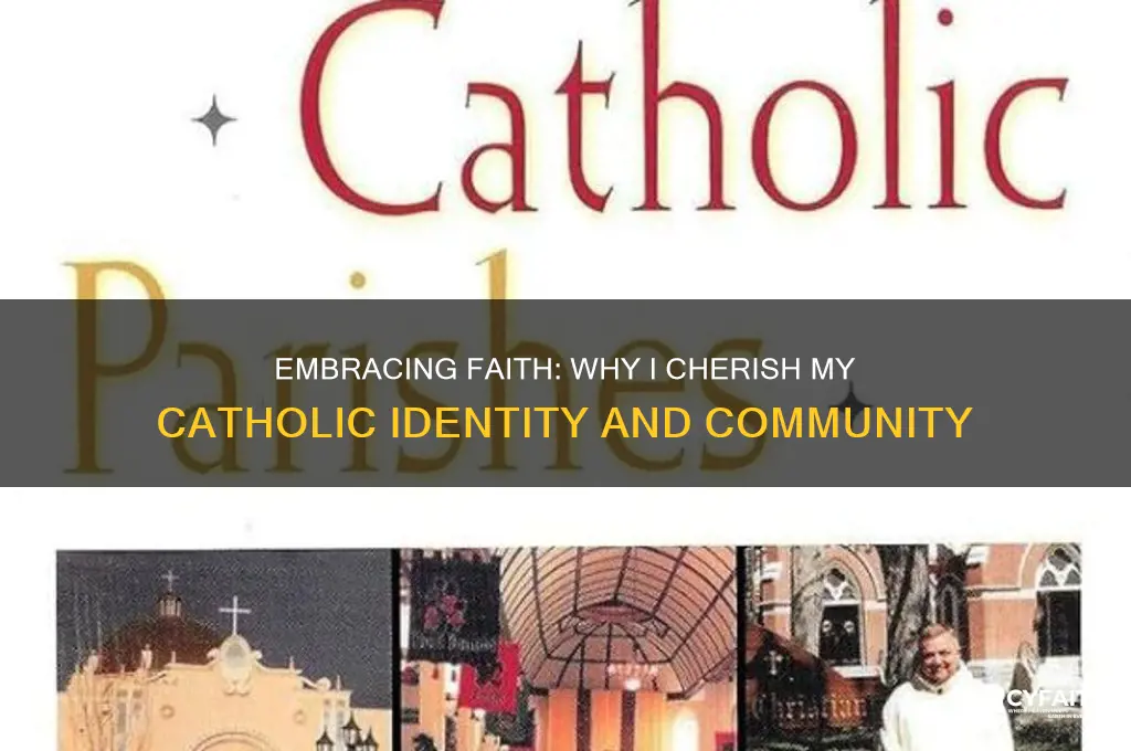 why i like being catholic