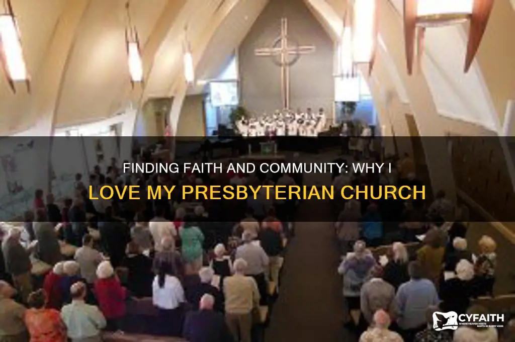 why i like my presbyterian church