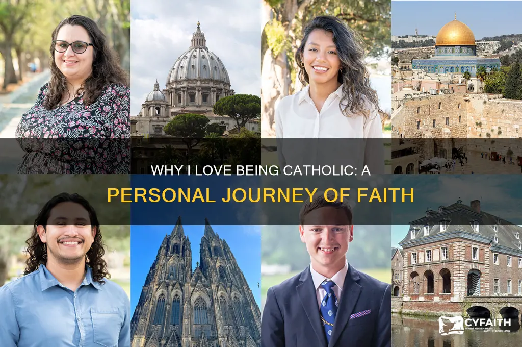 why i love being catholic book