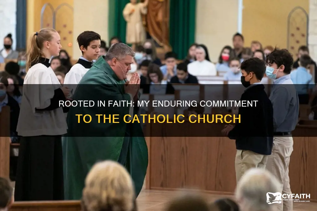 why i stay in the catholic