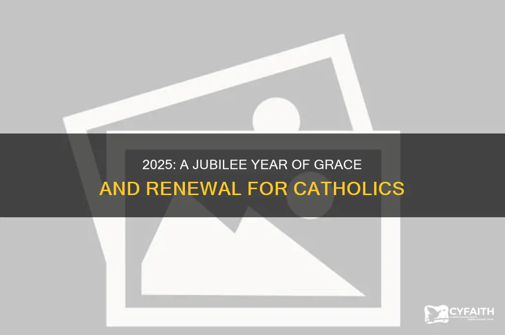 why is 2025 a holy year for catholics