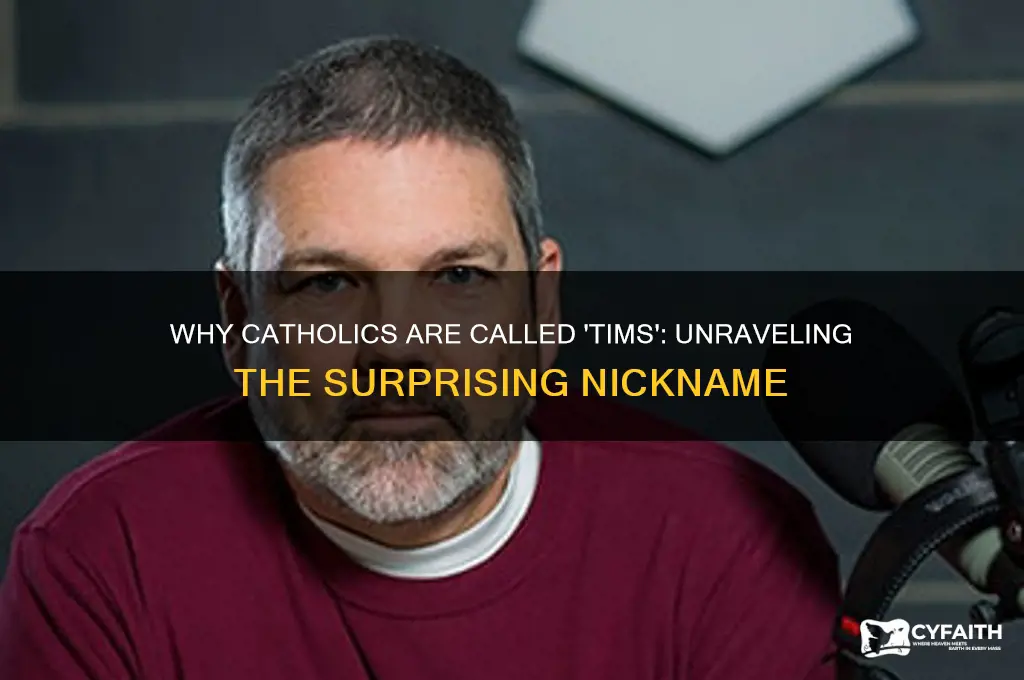 why is a catholic called a tim