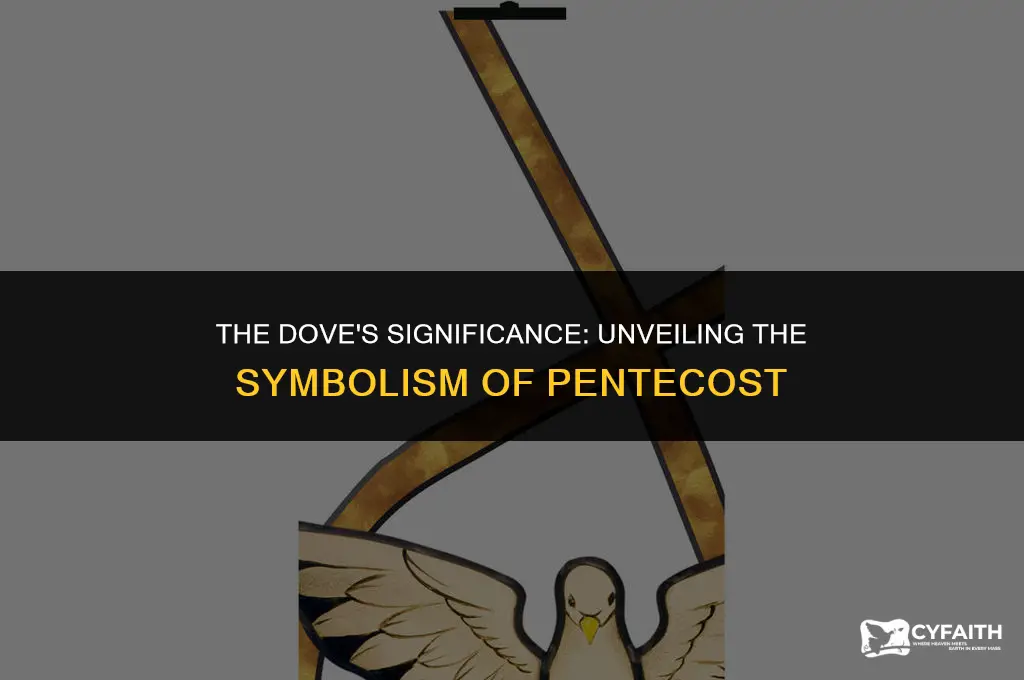 why is a dove a symbol of pentecost
