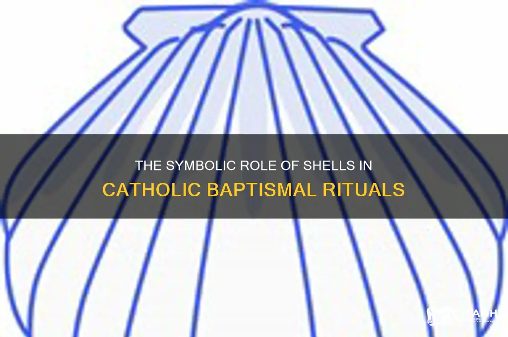 why is a shell used in catholic baptism