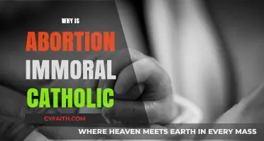 Abortion and Catholic Morality: Understanding the Church's Stance