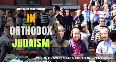 The Significance of Age Three in Orthodox Jewish Traditions and Milestones