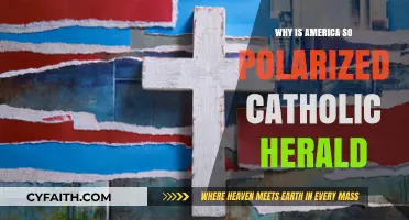 America's Polarization Crisis: Catholic Herald Explores Divides and Faith's Role