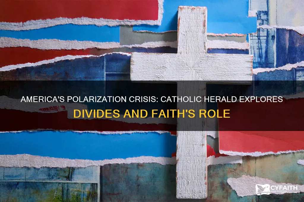 why is america so polarized catholic herald