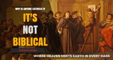 Why Remain Catholic? Exploring Faith Beyond Biblical Literalism