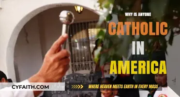 Why Do Millions Still Embrace Catholicism in Modern America?