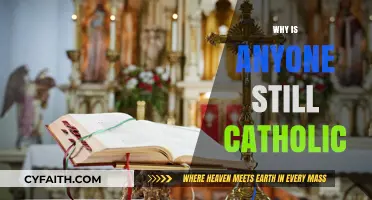 Why Do Millions Remain Catholic in a Secular World?