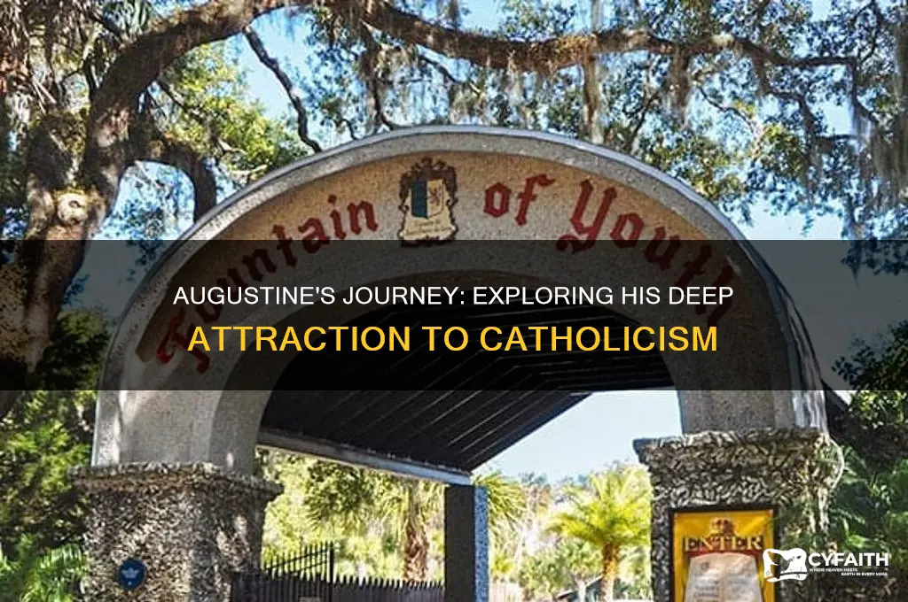 why is augustine attracted to the catholic faith