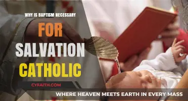 Baptism's Role in Catholic Salvation: A Necessary Sacrament Explained