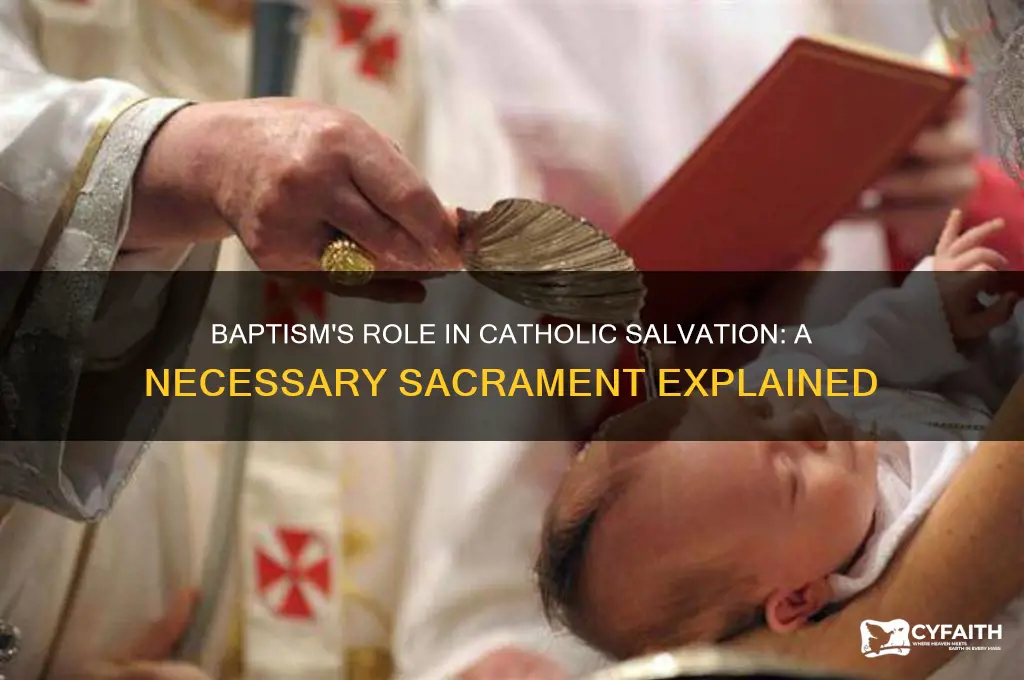 why is baptism necessary for salvation catholic