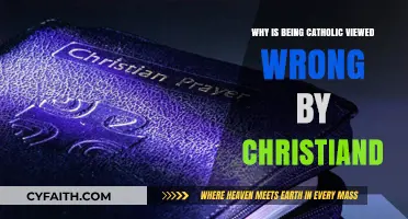 Misunderstood Faith: Why Some Christians Criticize Catholicism
