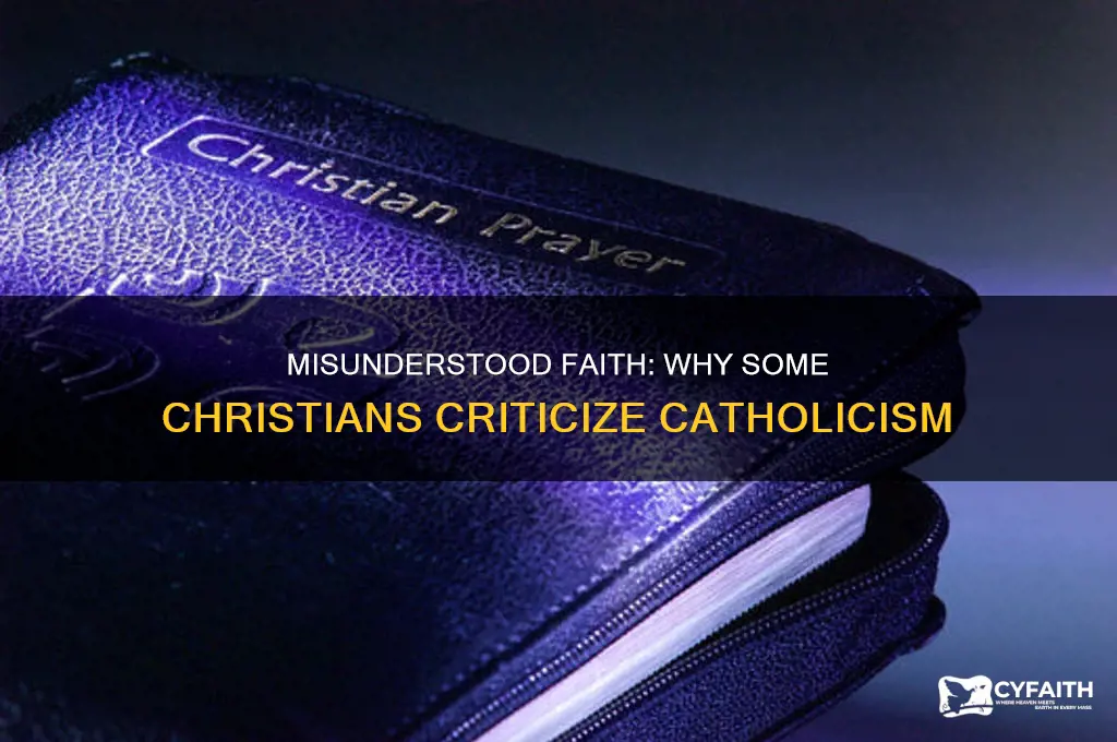 why is being catholic viewed wrong by christiand