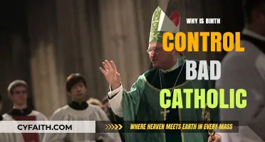 Birth Control and Catholic Teachings: Understanding the Moral Concerns
