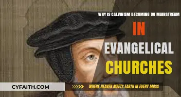 The Resurgence of Calvinism in Evangelical Churches: A Theological Shift