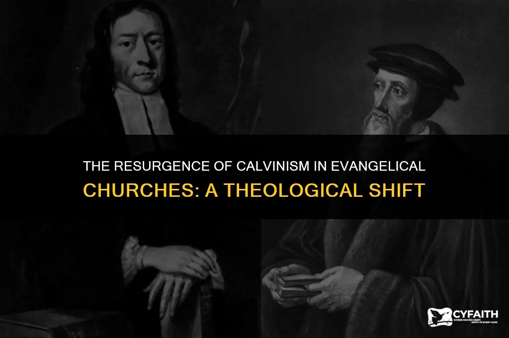 why is calvinism becoming do mainstream in evangelical churches
