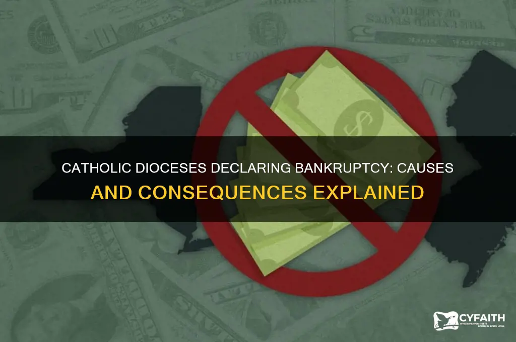 why is catholic dieces declaring bankruptsy