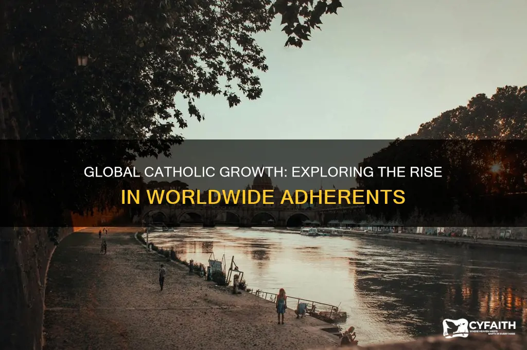 why is catholic population going up in the world