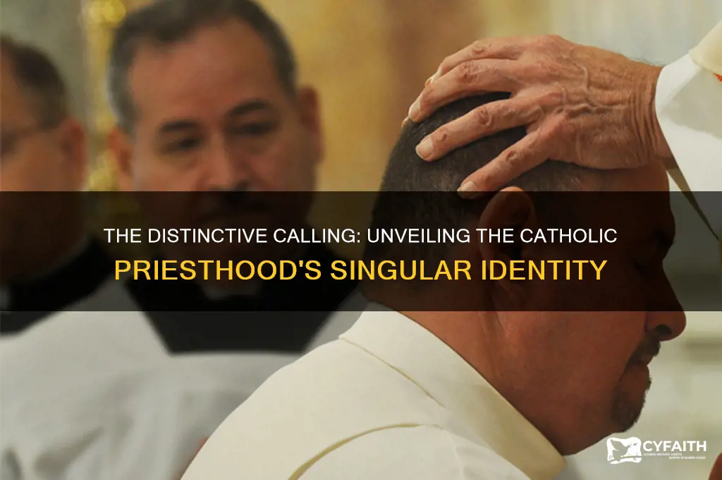 why is catholic priesthood unique