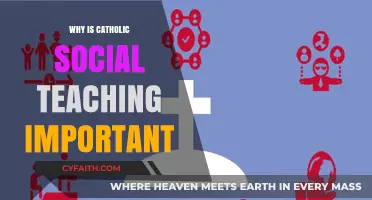 Catholic Social Teaching: A Moral Compass for Justice and Solidarity