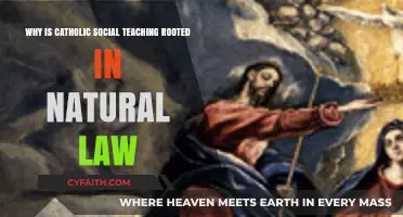 Catholic Social Teaching: Foundations in Natural Law Explained