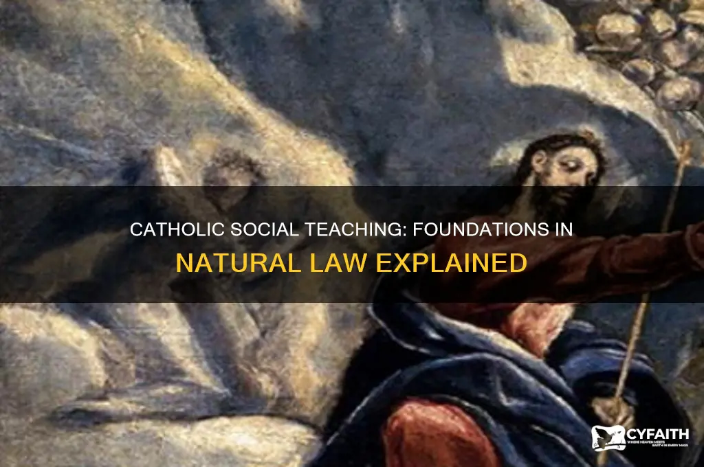 why is catholic social teaching rooted in natural law